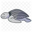 Reptile Leatherback Beach Icon