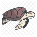 Reptile Loggerhead Beach Icon