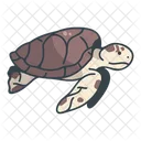 Reptile Loggerhead Beach Icône