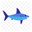 Requin Poisson Animal Icône