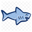 Requin Poisson Animal Icône
