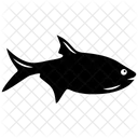 Requin  Icône