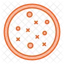 Research Petri Dish Icon