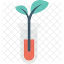 Botany Experiment Test Icon