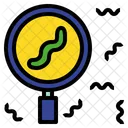 Research Specific Magnifying Icon