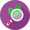 Research Botany Leaf Icon
