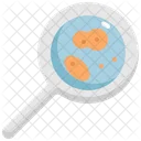 Magnifying Glass Scientific Icon