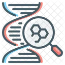 Research Dna Dna Research Icon