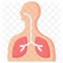 Respiratory System Pulmonology Icon