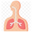 Respiratory System Pulmonology Icône