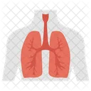 Respiratory Organ Lungs Asthma Icon