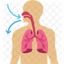 Respiratory Sick  Icon