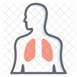 Respiratory System Icon - Download in Colored Outline Style