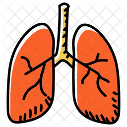 Respiratory System  Icon