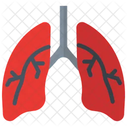 Respiratory System Pulmonary  Icon