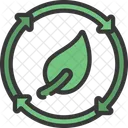 Responsible Leaf  Icon