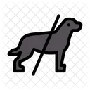 Donot Restricted Pet アイコン
