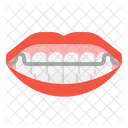 Retainer Braces Tooth Icon
