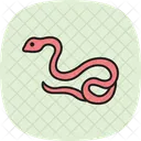 Reticulated Python Reticulatedpython Reptile Icon