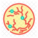 Retina Scan Biometric Icon