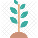 Retono Planta Plantacion Icon