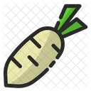 Rettich Gemuse Essen Symbol