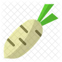 Rettich Gemuse Essen Symbol