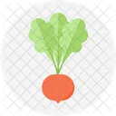 Rettich Salat Kochen Symbol