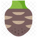 Taro Cabeza Raiz Icono