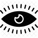 Review Eye Search Icon