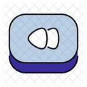 Rewind Back Previous Icon