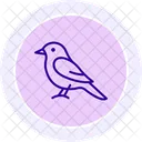Tirano Sinsonte Pajaro Icono