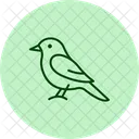 Tirano Sinsonte Pajaro Icono