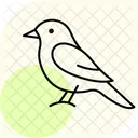 Tirano Sinsonte Pajaro Icono