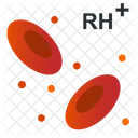 Rh Positive  Icon