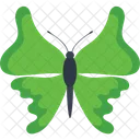Rhetus Periander Insect Icon