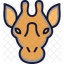 Rhinoceros Animal Rhino Icon