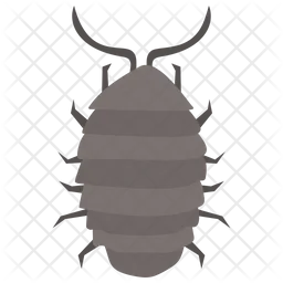 Rhinoceros Beetle  Icon