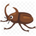Rhinoceros Beetle Insect Icon