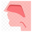 Rhinology Icon