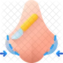 Rhinoplasty Plastic Surgery Surgery Icon