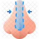 Rhinoplasty Plastic Surgery Surgery Icon