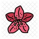 Rhododendron Flower Spring Icon