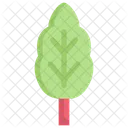 Vegetables Fiber Food Icon