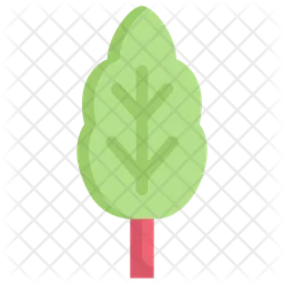 Rhubarb  Icon