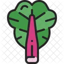 Rhubarb Vegetable Leaf Icon