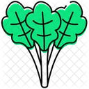 Rhubarb  Icon