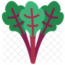 Rhubarb Vegetable Stalks Icon