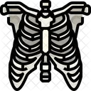 Rib Organ Body Part Icon