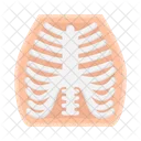 Bone Anatomy Skeleton Icon